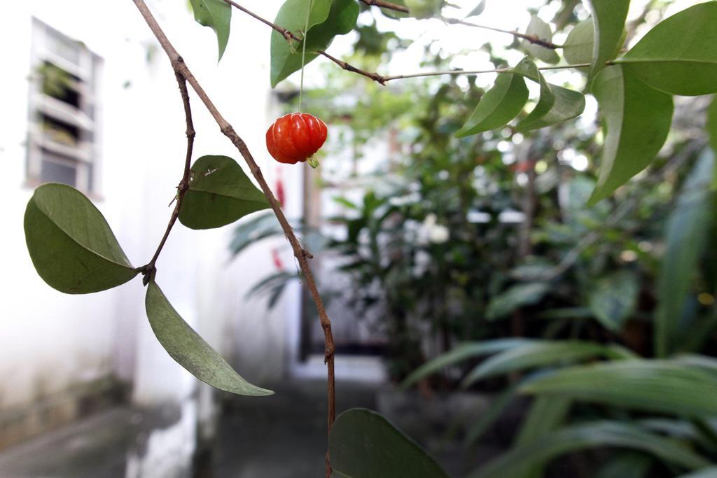 Casa Em Meio A Natureza - Ideal Para Casal Bed & Breakfast Rio de Janeiro Eksteriør bilde